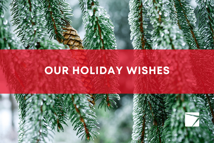 Our Holiday Wishes