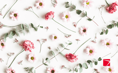 Spring in full bloom at K&P with new hires and promotions!